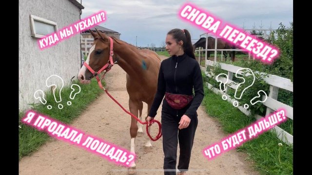 Влог | ПЕРЕЕЗД НА НОВУЮ КОНЮШНЮ | Куда мы приехали и многое другое