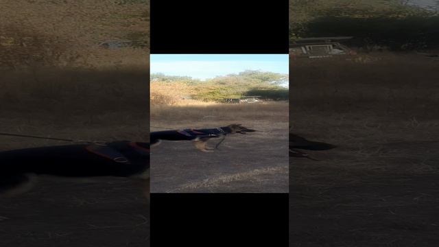 20240929_081709.mp4