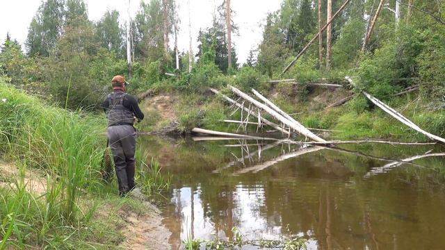 Рыбалка с ночёвками на красивой форельной реке. Жарим рыбу. Живём в лесной избушке.
