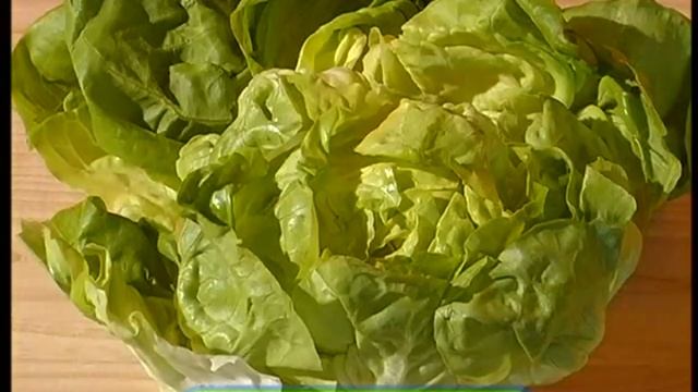 Галилео. Оливье Olivier (Russian Salad)
