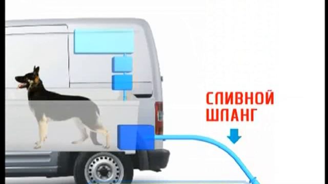 Галилео. Собачий мобильный салон Mobile dog grooming