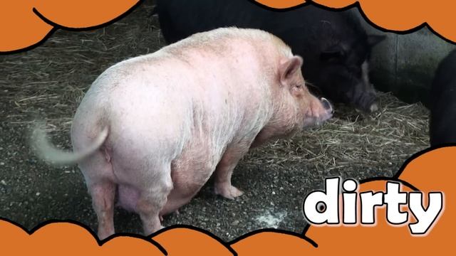 Big, Big, Big  Adjectives Song for Kids