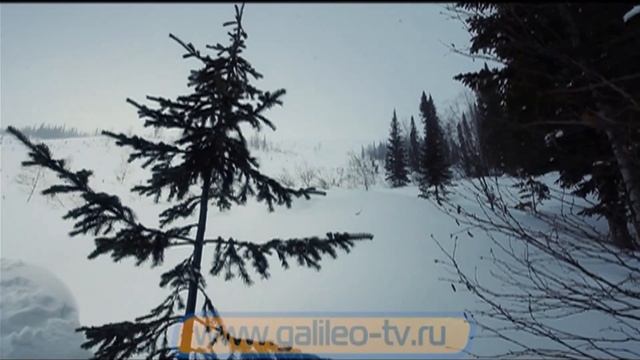 Галилео. Лавины