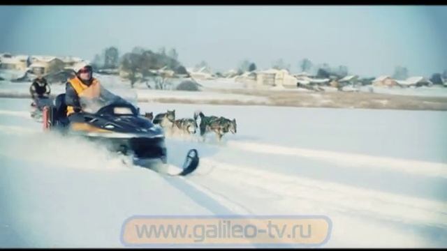 Галилео. Снегоход против собак
