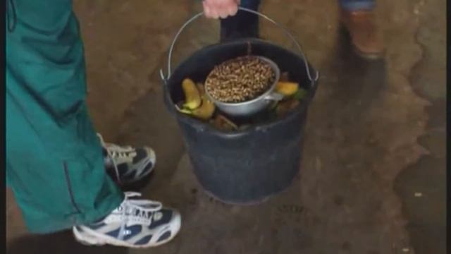 Галилео. Зоопарк (часть 2)