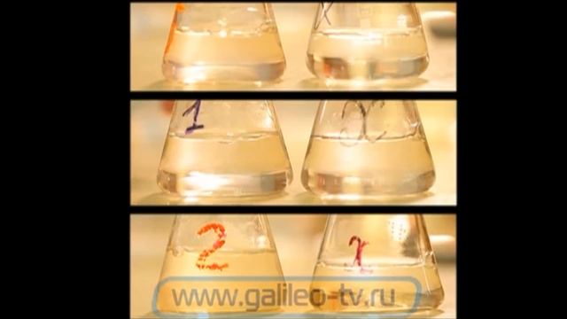 Галилео. Зарыбление