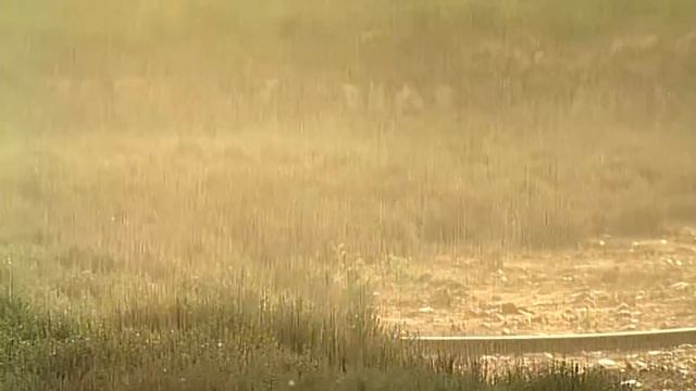 Галилео Прованские травы