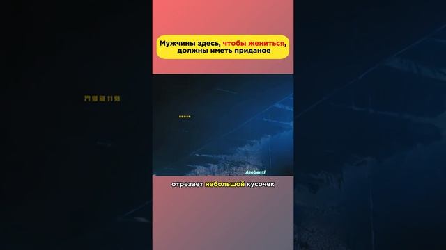 интересное и полезное