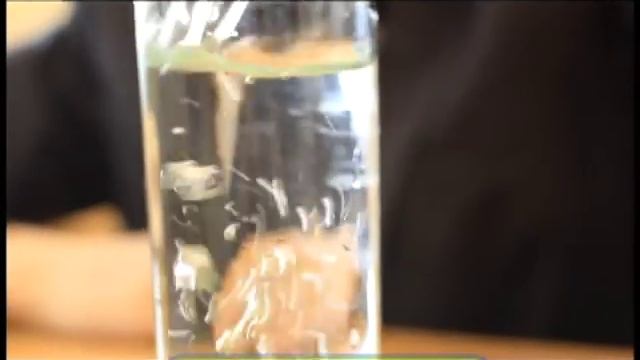 Галилео. Спорщики (ч.3)