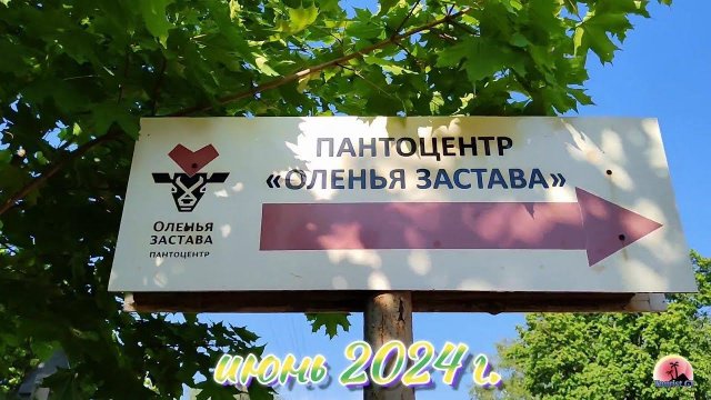 Оленья застава июнь 2024