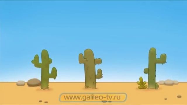 Галилео. История изобретений. Подгузники