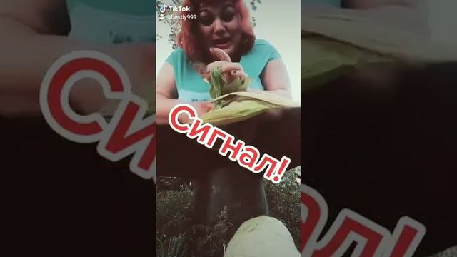 20200831185448798mp4 (LOW).mp4
