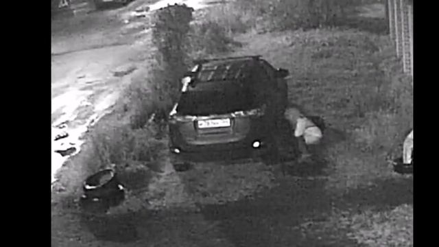 Справление нужды.