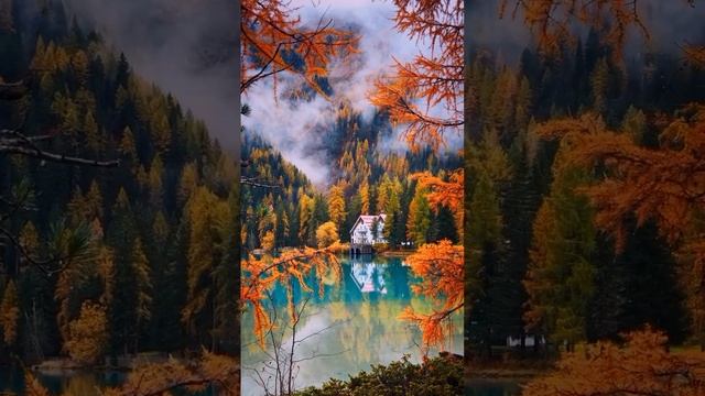 Vibe Of Nature