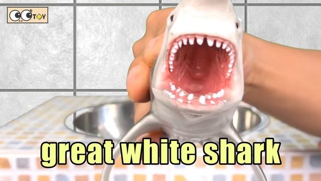 [EN] Sharks live under the wash basin 5, kids animals animation, dinosaurs adventureㅣCoCosToy
