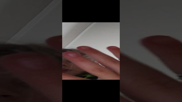 жопа