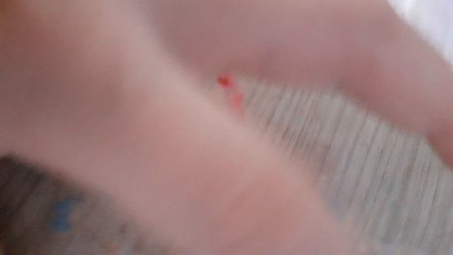 20241002_192632.mp4