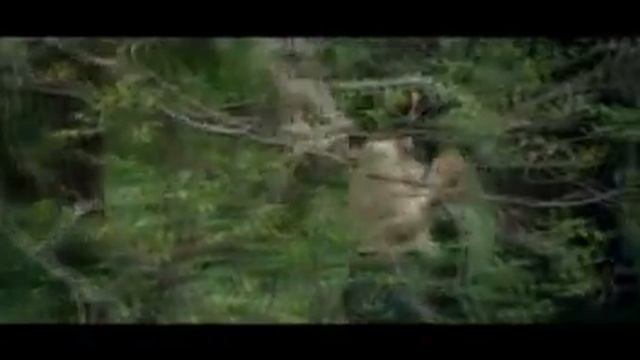 ЛАКИ ХИНД КИНО