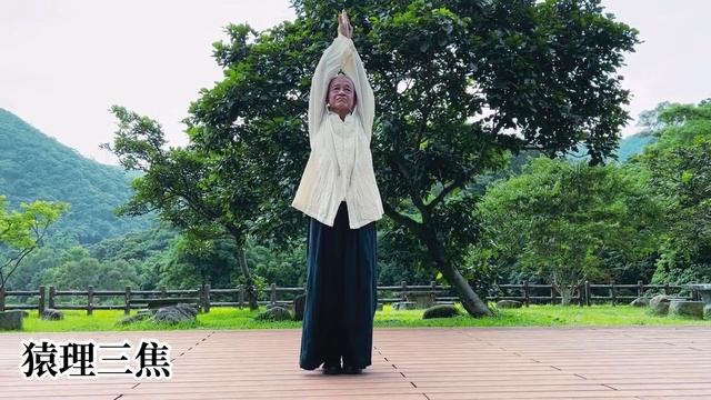華佗五禽之戲 - 正面功架示範（附口令 字幕）