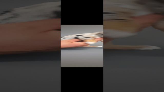 1000170200.mp4