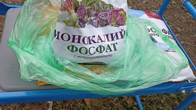 Не забудьте подкормить Голубику осенью.