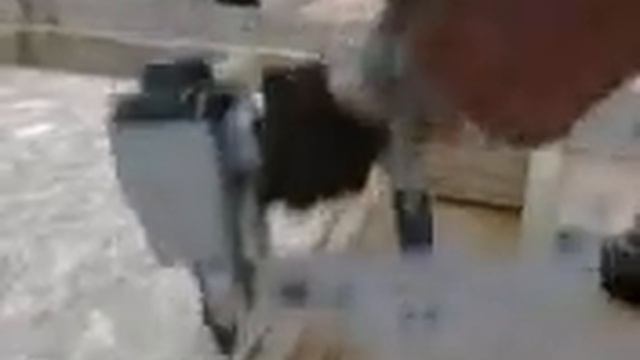 ИП-4403