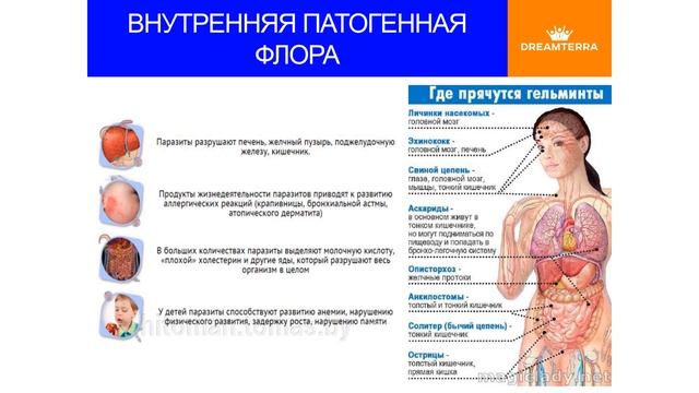 Конференция от 25-05-2017 Худеем с удовольствием. Пять месяцев - пять шагов