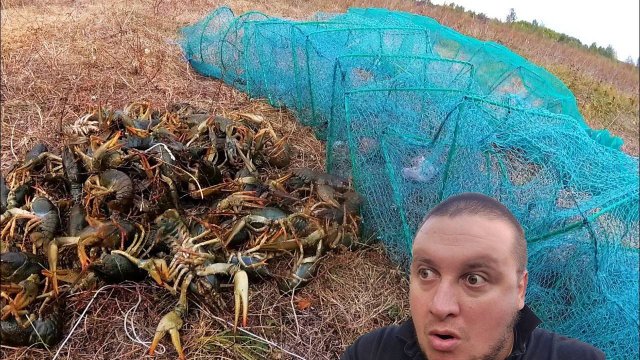 СТАВЛЮ РАКОЛОВКУ В ЦЕНТРЕ ГОРОДА НА 24 ЧАСА