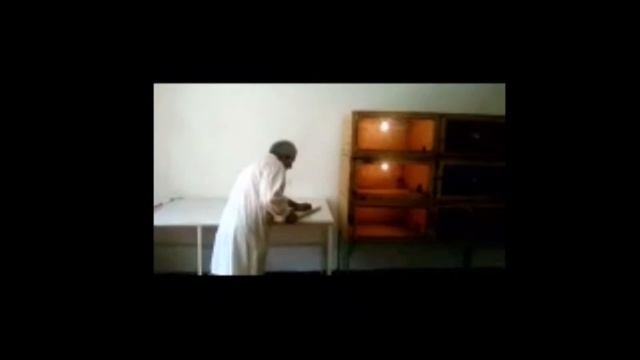 Махачкалинский серпентарий 1