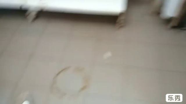 Экскурсия по Усадьбе Тихая Жизнь