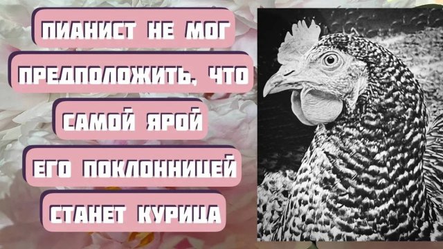 Легкий рассказ ПОКЛОННИЦА. Автор - Светлана Волкова, читает - Светлана Копылова