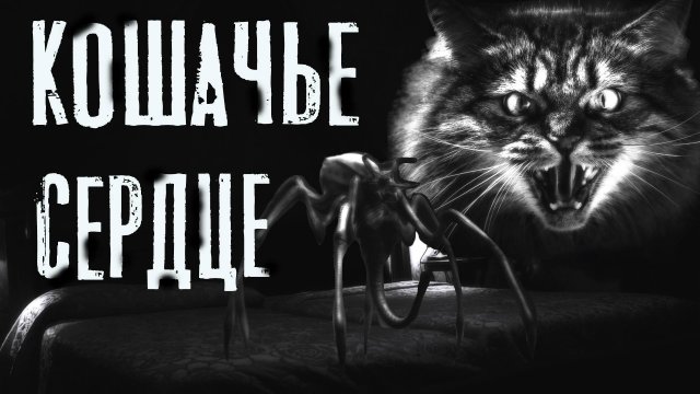 Страшные истории на ночь. КОШАЧЬЕ СЕРДЦЕ. Мистика. Ужасы