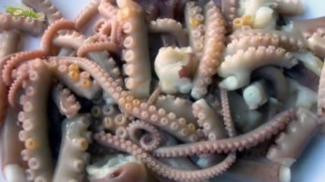 Самые странные и отвратительные блюда. Самая мерзкая еда в мире.