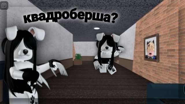 я кватроберша в мм2..