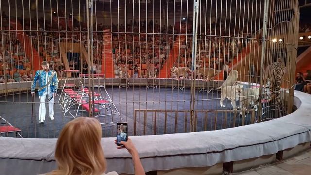 🎪🐅 "Империя львиц". Виталий Смолянец