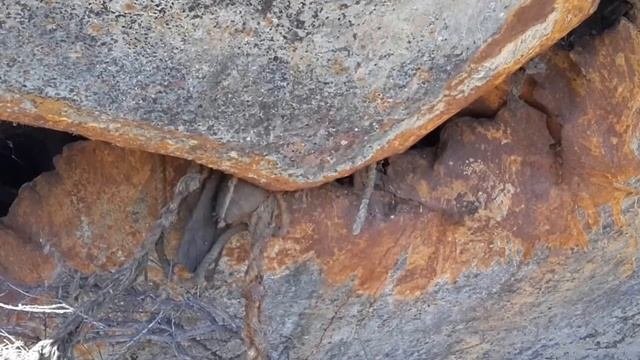 поездка к кораблю неукротимый