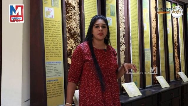 മണ്ണിനും കല്ലിനുമായൊരു മ്യൂസിയം I Soil museum I Kannenda kazhchaI