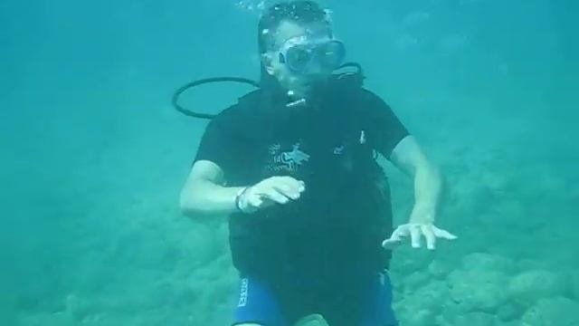 Прикол дайвинг