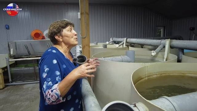 Казанская ферма по выращиванию рыбы