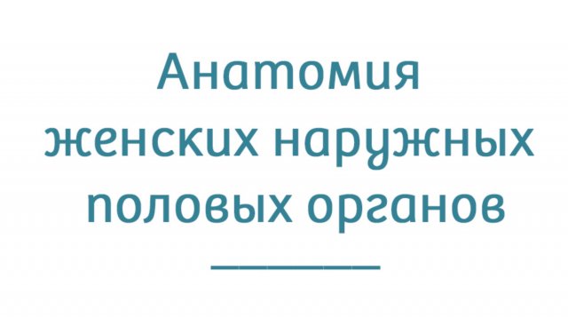 Анатомия женских наружных половых органов