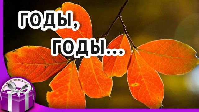 Жизнь похожа на позднюю осень...Лучшие стихи и песни
