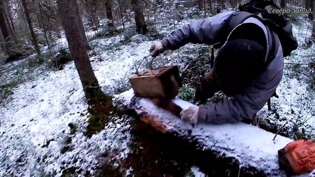 ПЕРВАЯ ОХОТА НА КУНИЦУ КАПКАНАМИ 2020 // УДАЧНАЯ ПОСТАНОВКА.