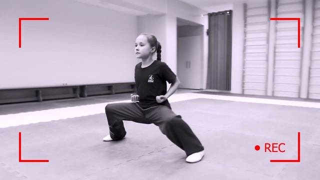 Школа ушу. Позиции ушу - часть 1