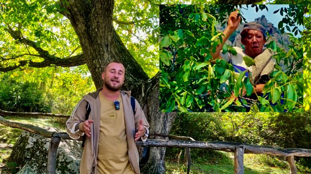ПРИКЛЮЧЕНИЯ ШУРИКА В КРЫМУ. Кавказская Пленница. ВЫЖИТЬ в ДИКОМ ЛЕСУ БЕЗ ЕДЫ МОЯ БОЛЬШАЯ ОШИБКА.