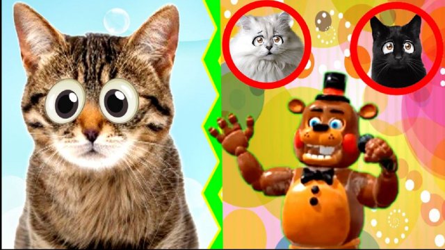 ТАНЦУЙ – чтобы СПАСТИ Кошек! Фредди Аниматроник стал Крутым ДИДЖЕЕМ!!! Чика – КОРОЛЬ ТАНЦПОЛА – 2