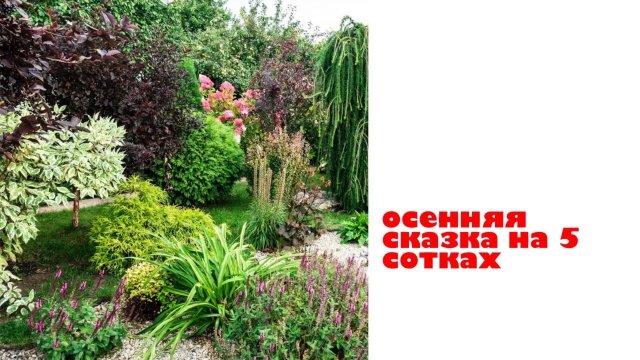 СКАЗКА на 5 сотках / ОСЕНЬ