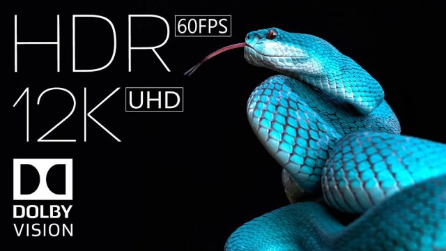 Мир Животных ｜ 4K HDR 60fps Dolby Vision