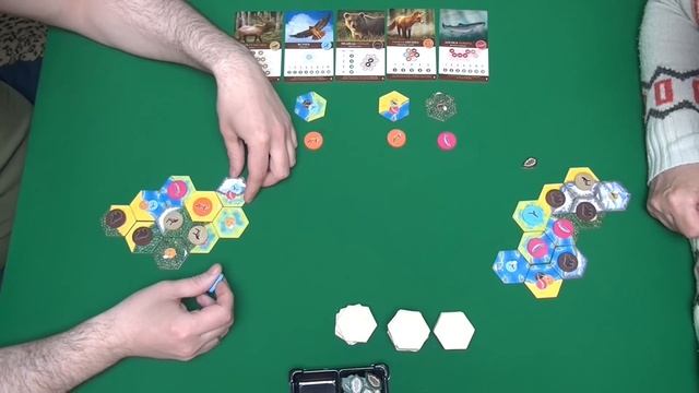413 Каскадия - играем в настольную игру. Cascadia board game.