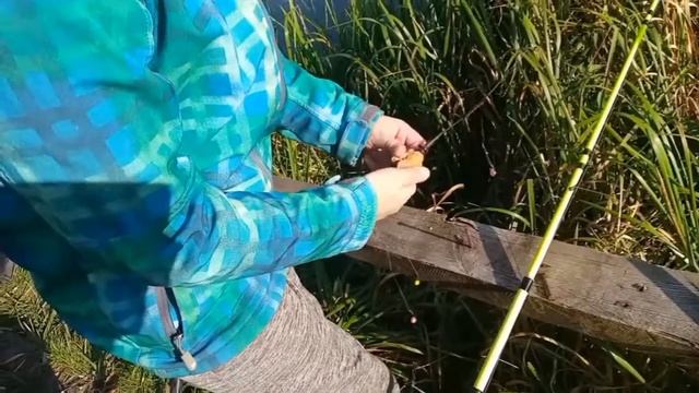#рыбалка #fishing  РЫБАЛКА НА РЫБОЛОВНЫЙ ПЛАСТИЛИН