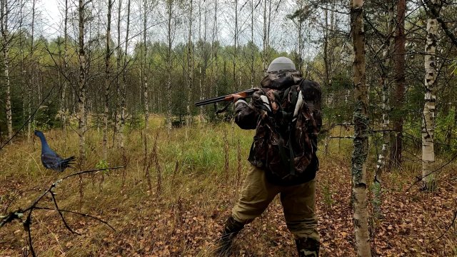 Охота осенью на Глухаря с подхода! Шикарный трофей!
